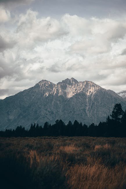Mountain Landscapes - Breathtaking mountain range with snow-covered pe #13771600