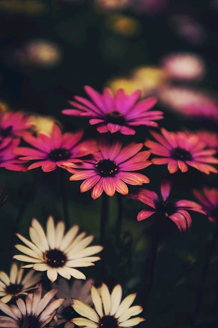 Flowers & Plants - Close-up of colorful flowers with rich details, #2184346
