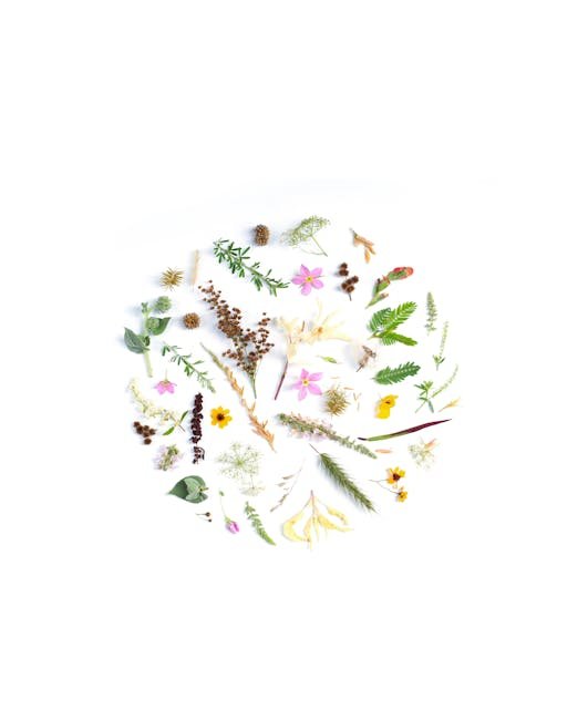 Flowers & Plants - A creative arrangement of diverse botanical elem #2652346