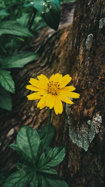 Flowers & Plants - Close-up of a vibrant yellow flower with fresh g #26648537