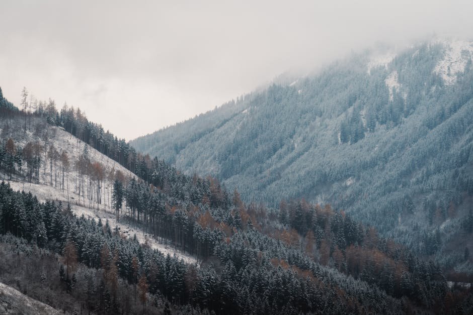 Mountain Landscapes - Scenic view of snowy alpine mountains with frost #35140927