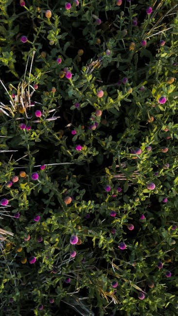 Flowers & Plants - Vibrant wildflowers blooming in dense greenery c #35308831